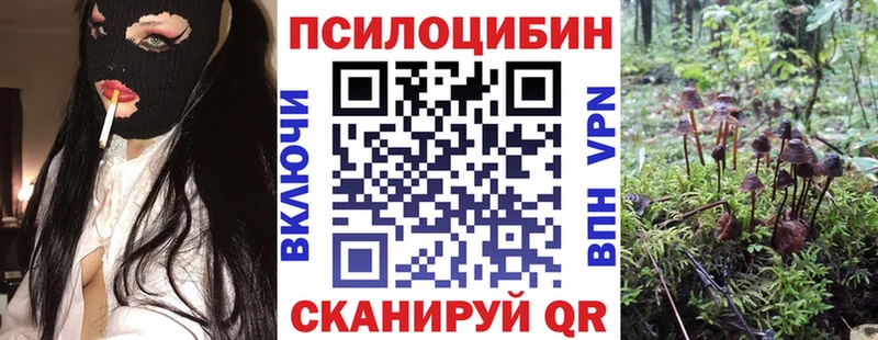 как найти наркотики  Красный Холм  Галлюциногенные грибы мицелий 